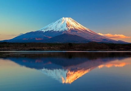 静岡