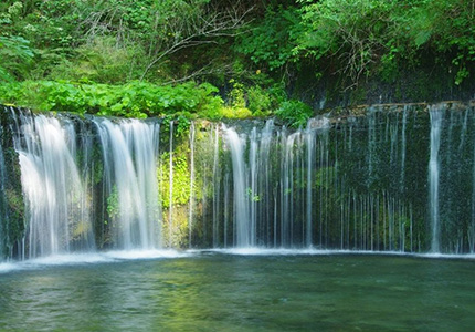 長野
