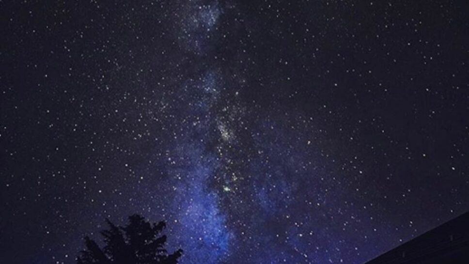 おおぐて湖畔 しらさぎ荘 の画像16