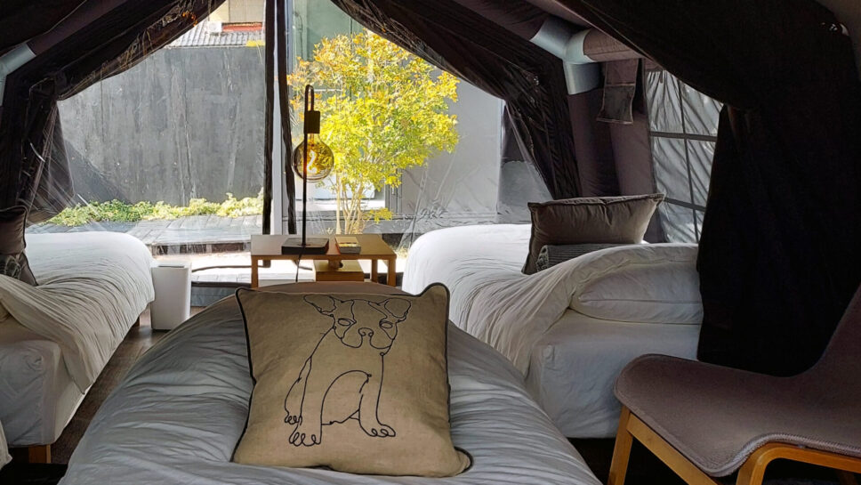 POLARIS（ポラリス）