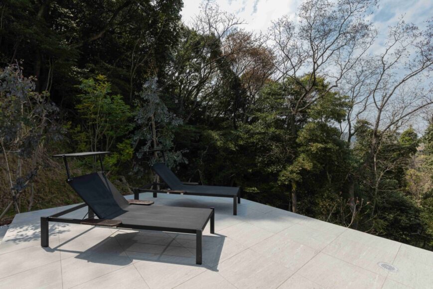 SOOTHE FOREST の画像18