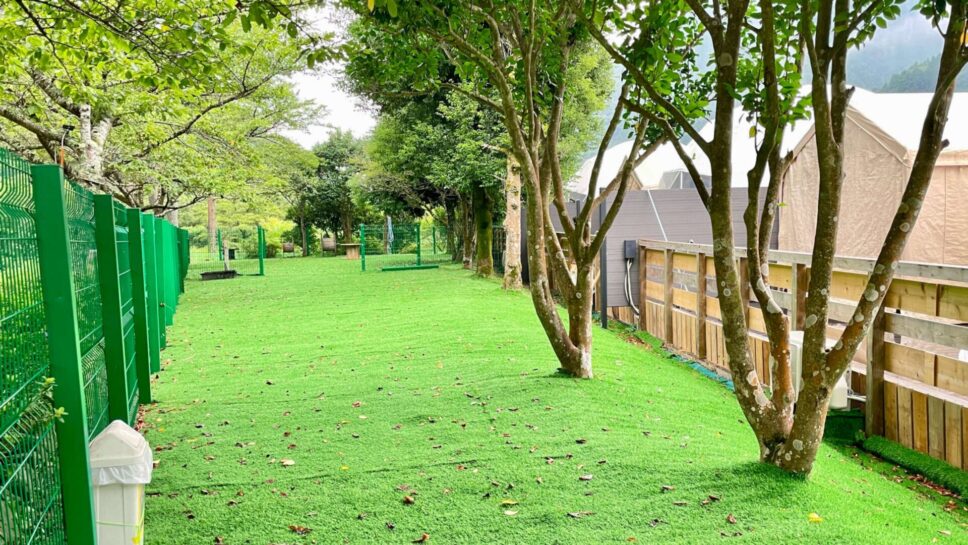 SPRINGS VILLAGE 足柄・丹沢温泉リゾート&グランピング の画像28