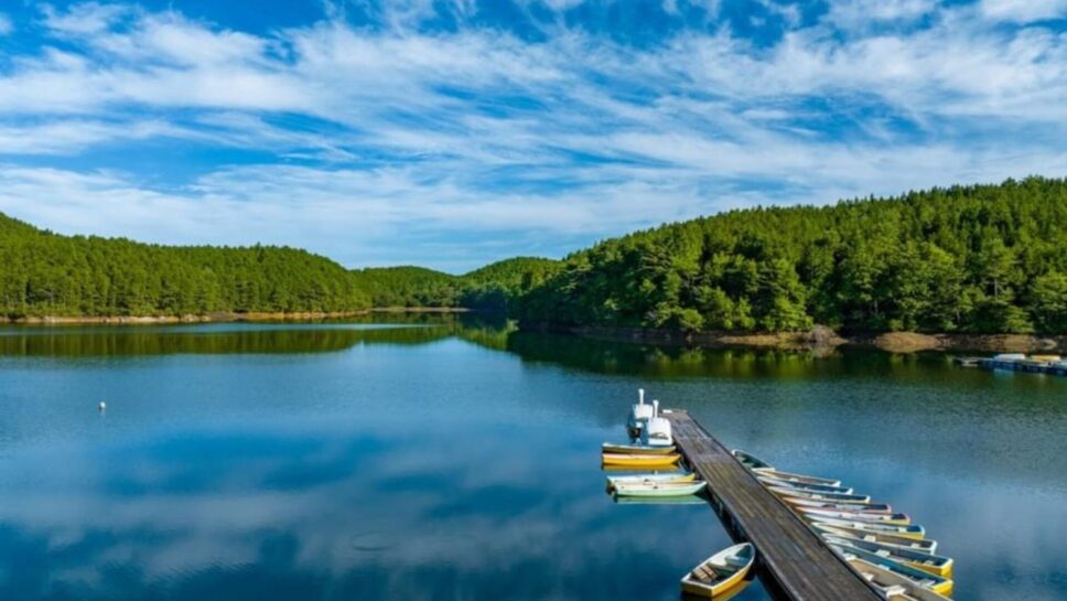 根の上アウトドアパーク恵那 保古グランピング の画像25