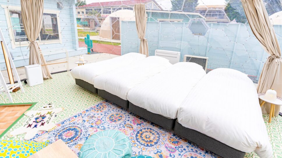 TACO GLAMP の画像6