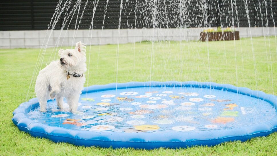 まるのもり Glamping with Dog の画像14