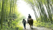 Sport & Do Resort リソルの森 の画像20
