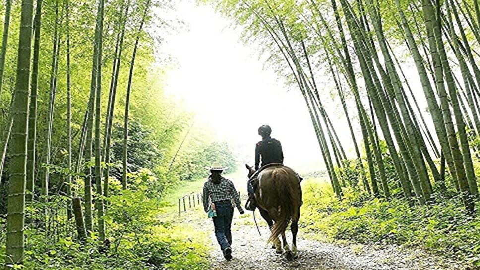 Sport & Do Resort リソルの森 の画像20