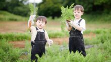 THE FARM SLOW MOUNTAIN NARITA の画像18