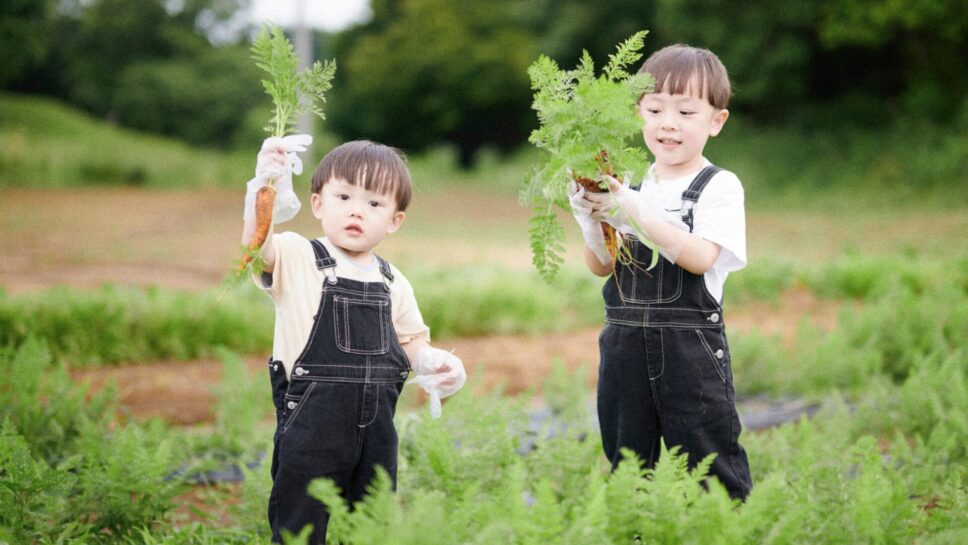 THE FARM SLOW MOUNTAIN NARITA の画像18
