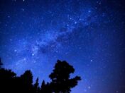 蒜山グランピングコテージ森の散歩 の画像16