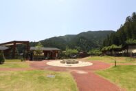 ノーラ名栗 の画像13