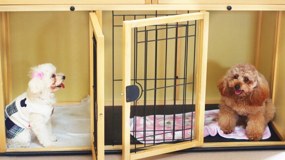 とれとれヴィレッジ の画像22