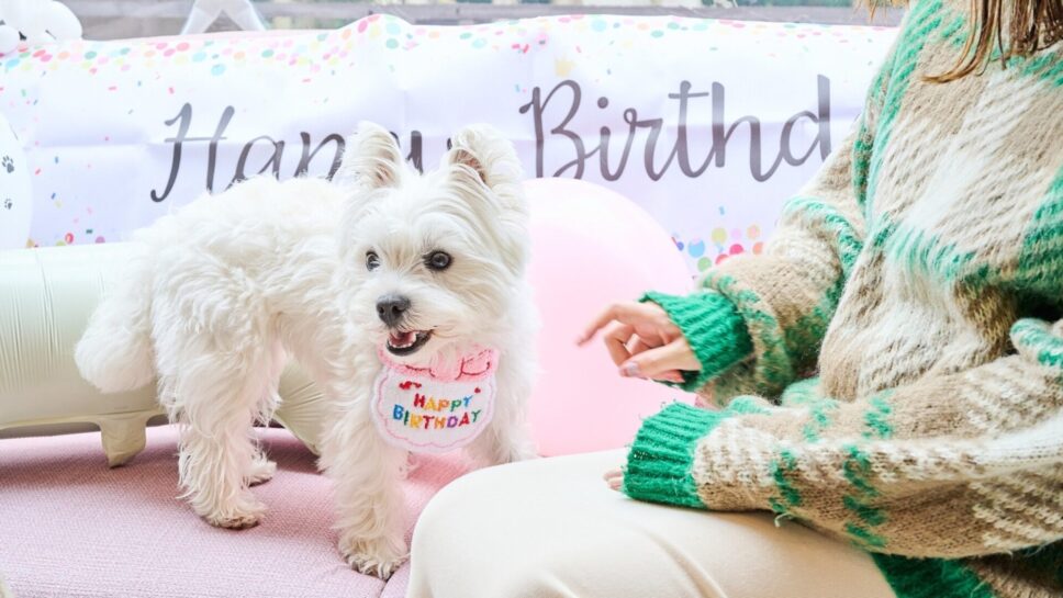 まるのもり Glamping with Dog の画像18