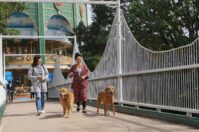 TOWAピュアコテージ の画像18