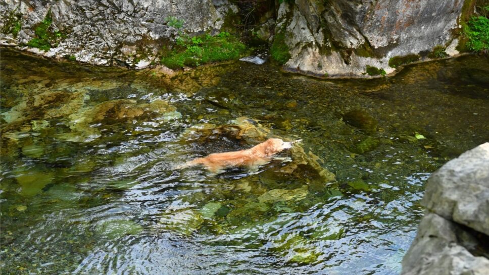 Camp Base Kadojin の画像24