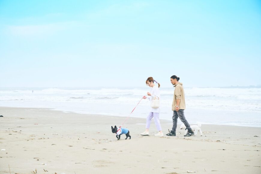 EIGHT VILLAGE の画像13