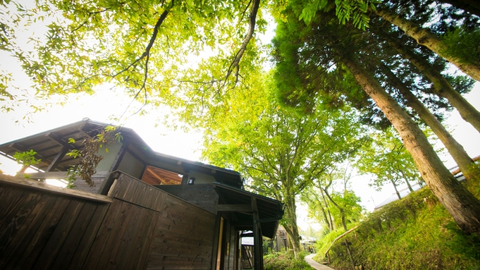 宿房 翡翠之庄 The Kingfisher resort