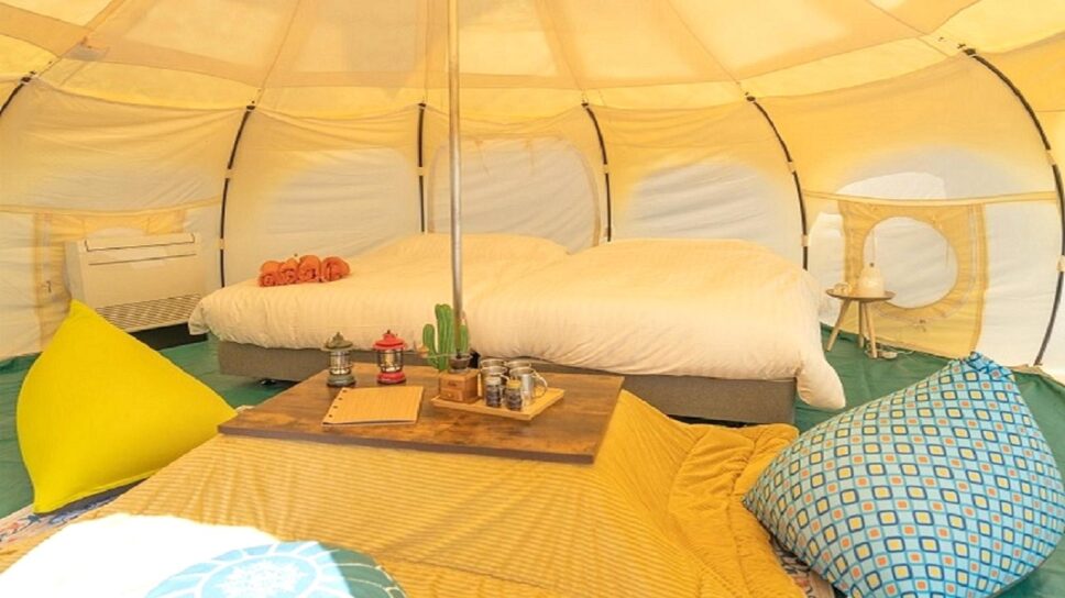 TACO GLAMP