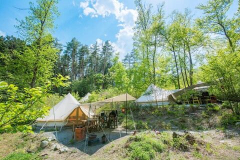 白州・尾白 FLORA Campsite in the Natural Garden