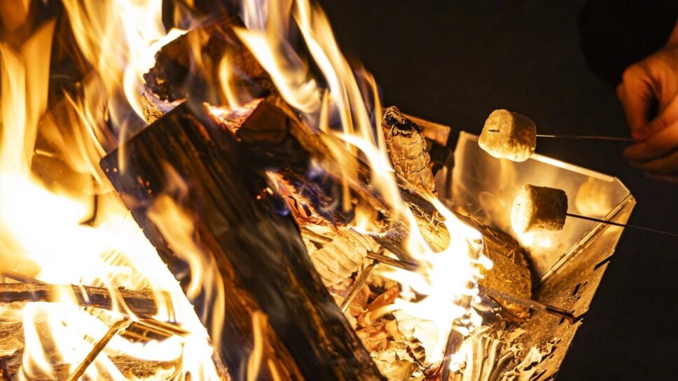 瀬戸内リゾートベッセルおおち の画像15