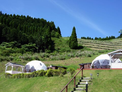 南阿蘇 Blue Bee Garden
