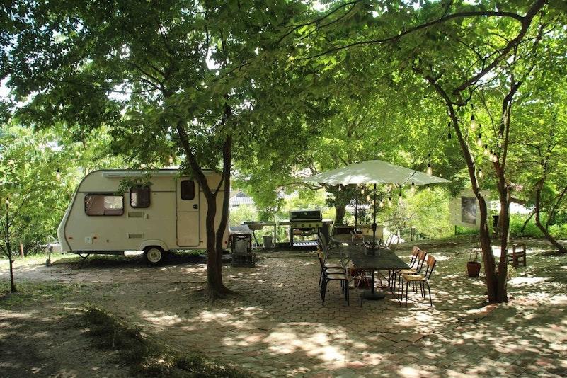 GLAMPING with ANTIQUES