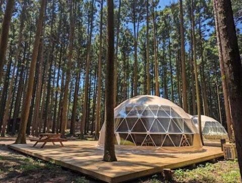 赤城 ときわぎの森キャンプ場