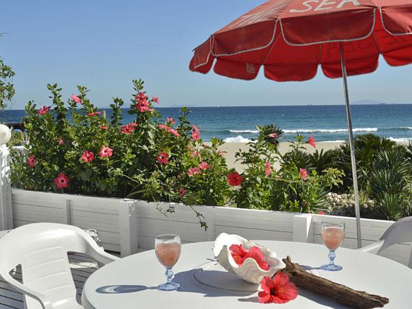 The Blue Ocean Dog Resort Club