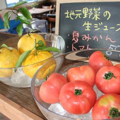 サンセットブリーズ保田