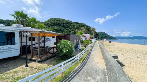 シーアイガ海月