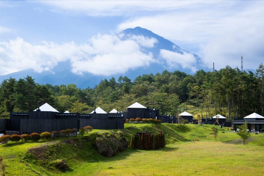 THE SENSE FUJI