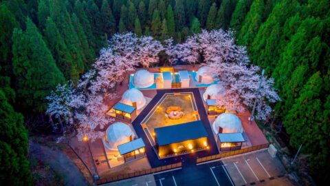 ルポの森（GRAN FOREST 越前美山）