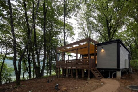 NAGI dogglamping ena