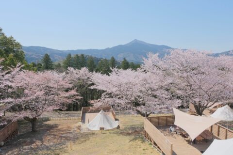 花やさと山