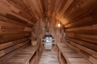 SOOTHE FOREST の画像17