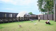 まるのもり Glamping with Dog の画像2