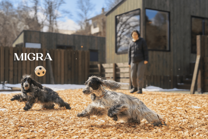 YADOKARI VILLAGE 北軽井沢