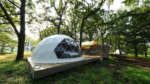 Haga Farm & Glamping（芳賀ファーム＆グランピング）