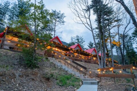 ウッドデザインパーク与位