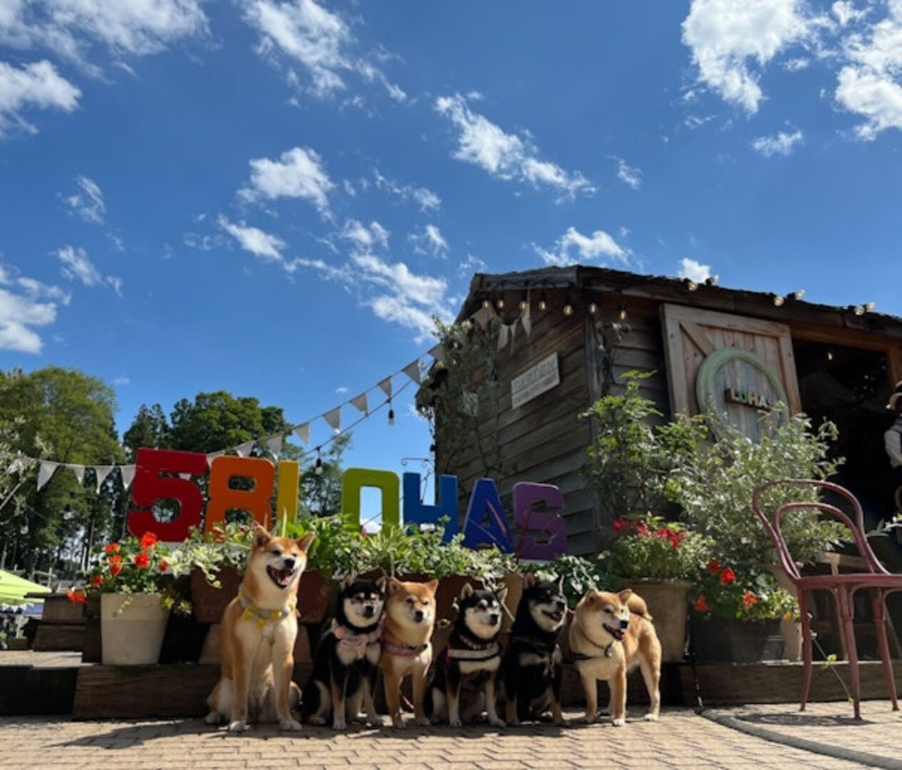 58 RUSTIC CAMP の画像11