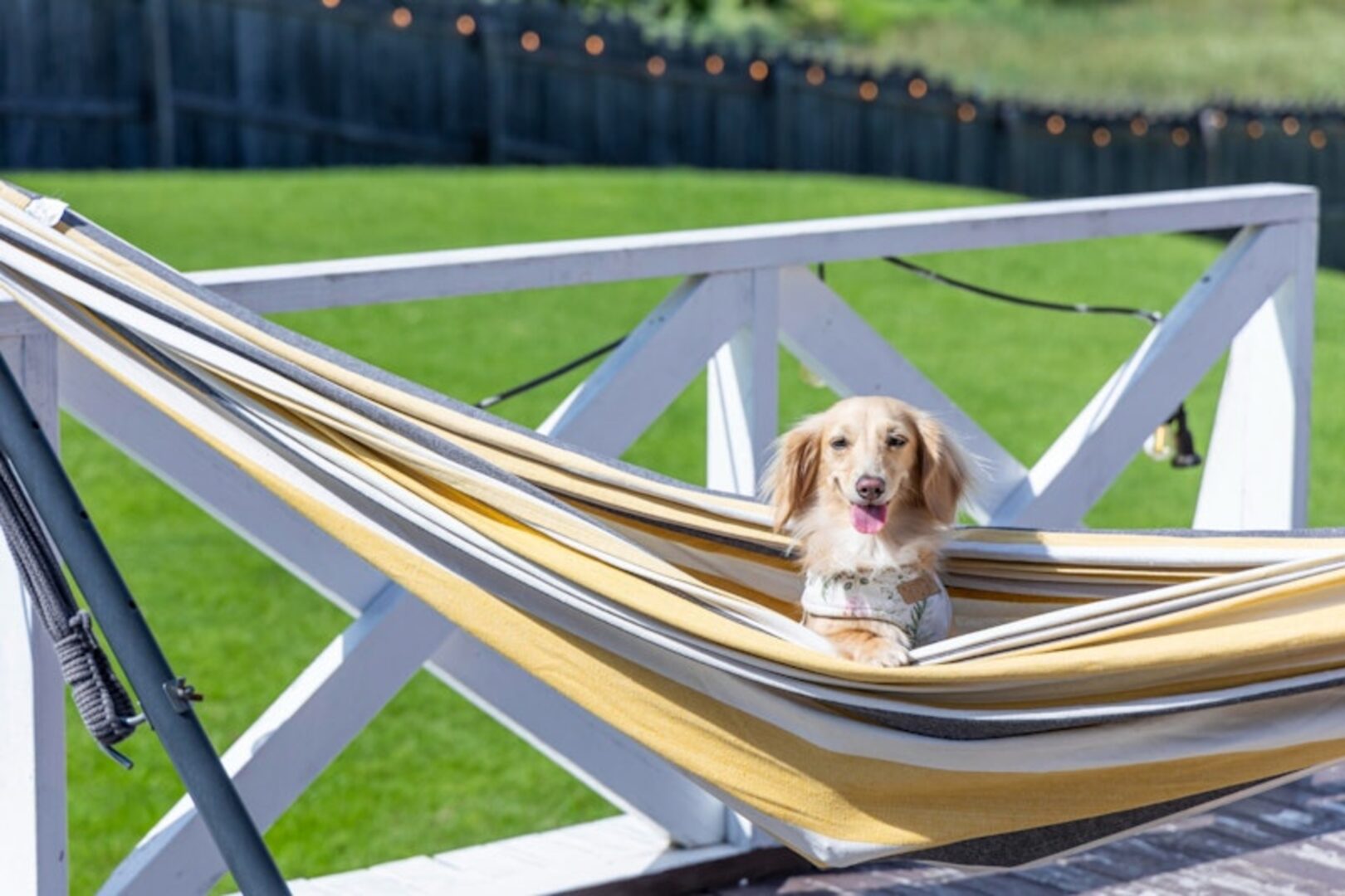 58 RUSTIC CAMP の画像10