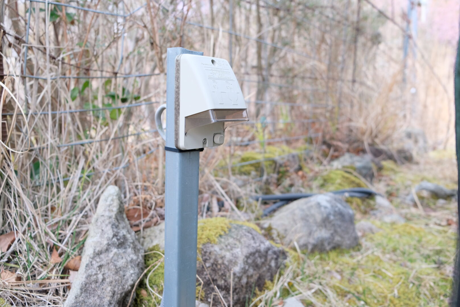 天城高原オートキャンプ場