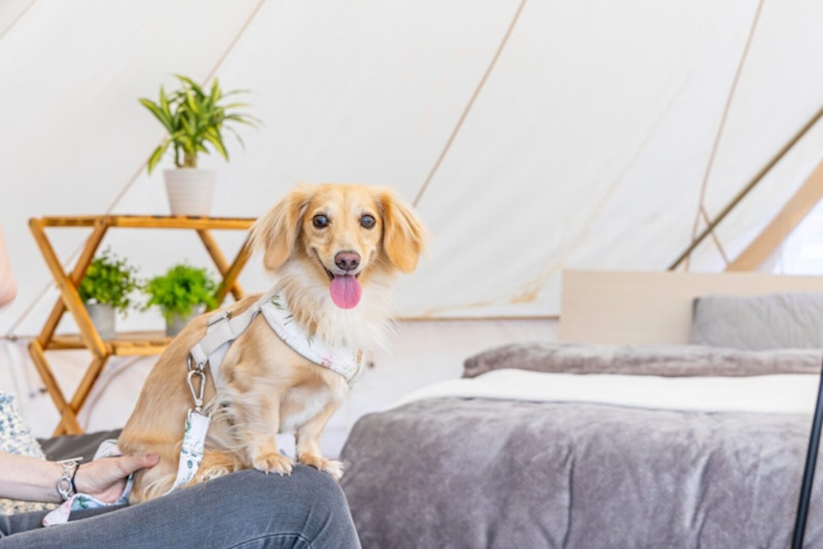 58 RUSTIC CAMP の画像9