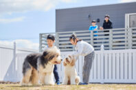 彦根レイクサイドリゾート KOMOREVILLAGO の画像15