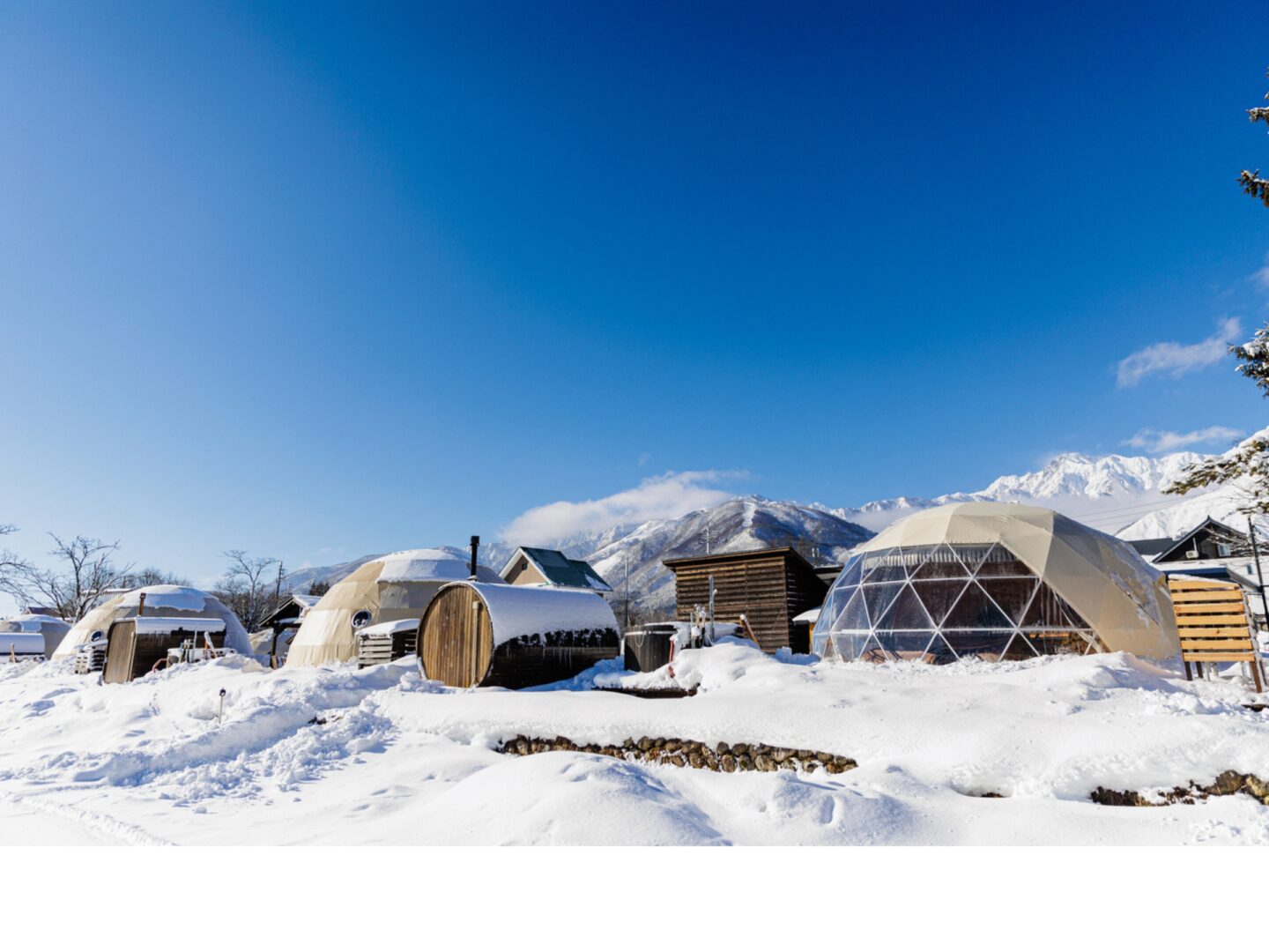 From P の画像1