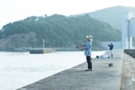 amarancia cottage hugging nature house の画像26